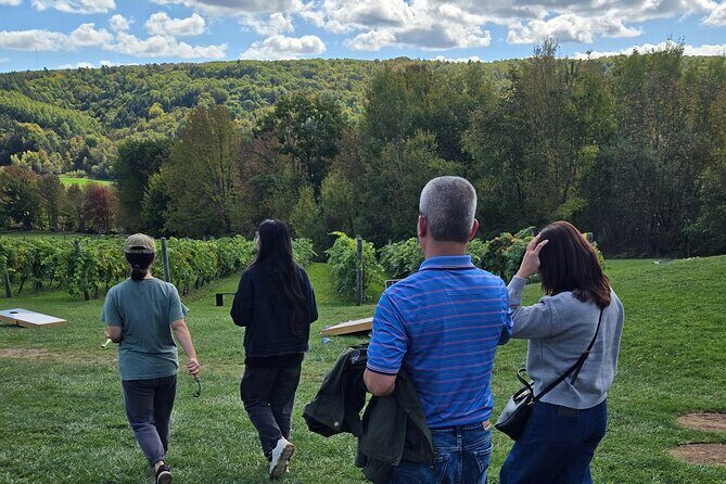 Nova Scotia Wine and Lobster Experience from Halifax - What to Expect Regarding Value