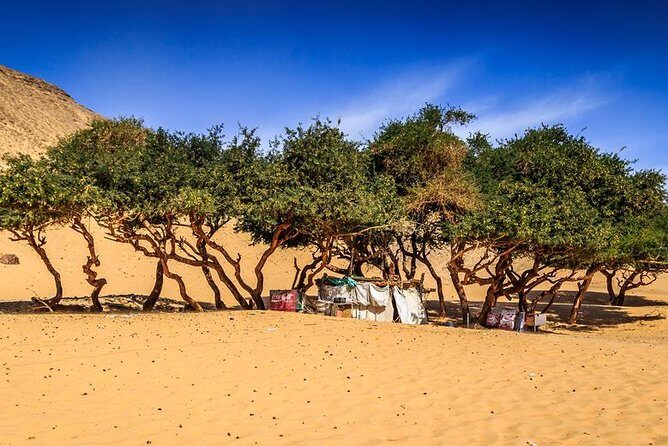Nubian Village by Motorboat In Aswan - The Sum Up