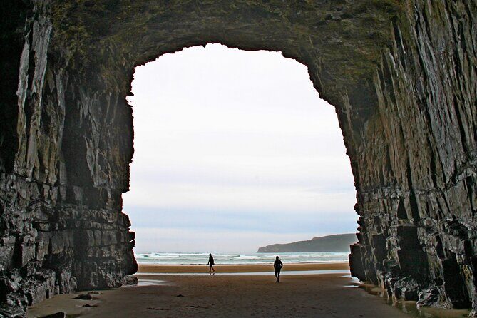 Nugget Point and Cathedral Caves Private Tour from Dunedin - Exploring the Dunedin & Otago Peninsula: A Detailed Look at the Nugget Point and Cathedral Caves Private Tour