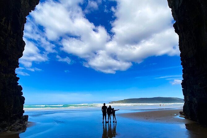 Nugget Point and Cathedral Caves Private Tour from Dunedin - Key Points