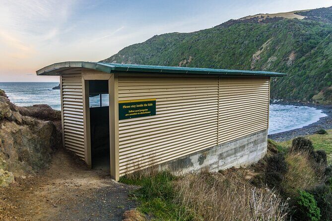 Nugget Point and Cathedral Caves Private Tour from Dunedin - The Sum Up: Is This Tour Worth It?