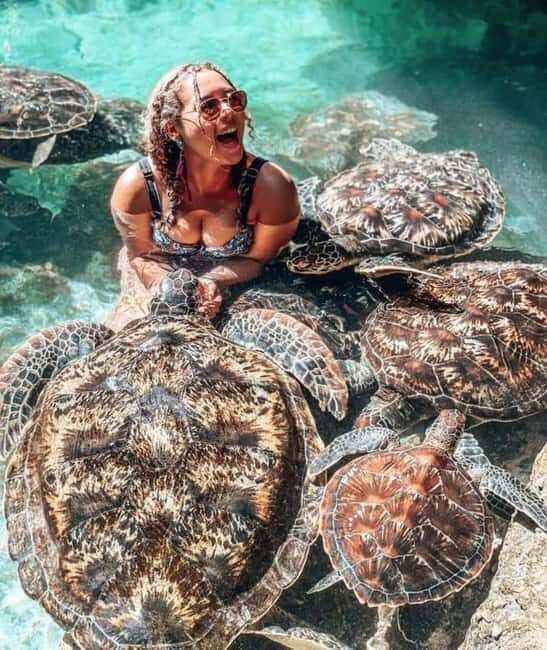 Nungwi Aqurium with sunset at kendwa Beach (half day tour) - Key Points