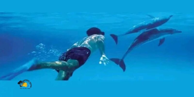 Nungwi: Mnemba Atoll Dolphins and Snorkeling Tour - Nungwi: Mnemba Atoll Dolphins and Snorkeling Tour — A Practical Guide for Water Lovers
