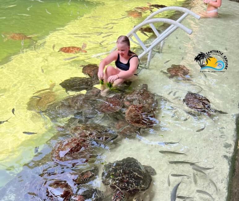 Nungwi: Swim & Snorkel with Turtles at The Lagoons Zanzibar - An In-Depth Look at the Turtle Lagoon Tour