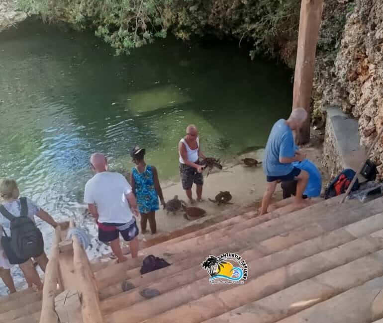 Nungwi: Swim & Snorkel with Turtles at The Lagoons Zanzibar - The Day-in-Details: What to Expect