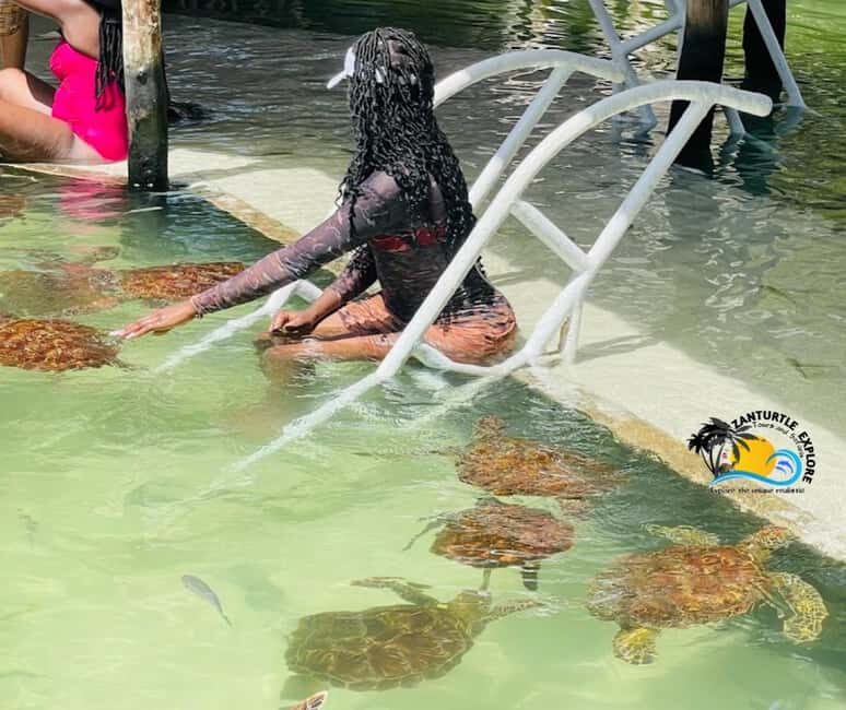 Nungwi: Swim & Snorkel with Turtles at The Lagoons Zanzibar - Final Thoughts: Is It Worth It?