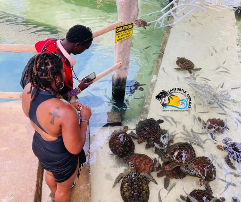 Nungwi: Swimming with Turtles at The Lagoons Zanzibar - Key Points