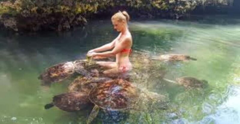 Nungwi: Turtle Sanctuary Visit and Sunset Dhow Cruise - Post-Sanctuary Beach & Snorkeling