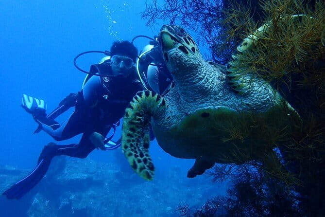 Nusa Dua Marine Jet Ski and Parasailing Adventure with Hotel Pick up - FAQ