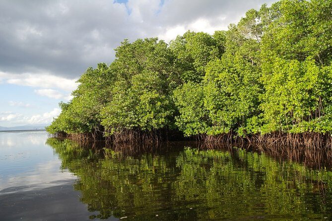 Nusa Lembongan Island: Snorkeling & Mangrove Forest Day Tour - Who Will Love This Tour?