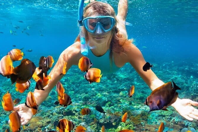 Nusa Penida All-Inclusive Day Trip - Transportation & Logistics
