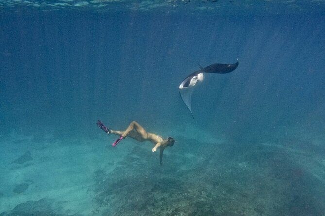 Nusa Penida day trip: boat, 4 snorkeling, Manta rays & Land tour - An In-Depth Look at the Tour Experience