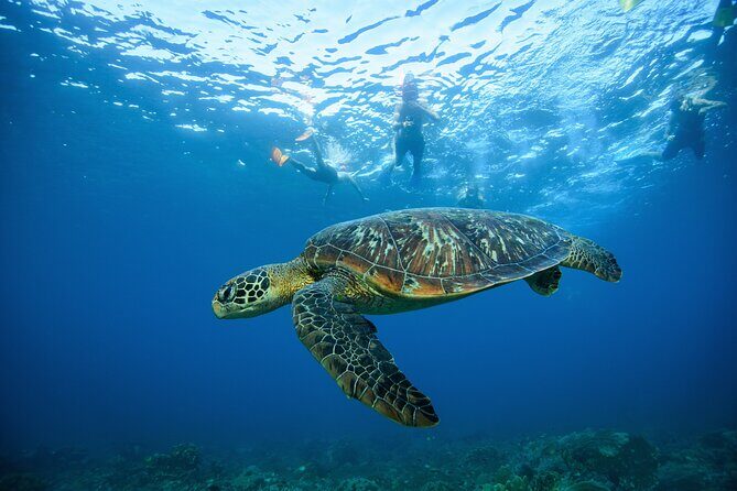 Nusa Penida day trip: boat, 4 snorkeling, Manta rays & Land tour - FAQ