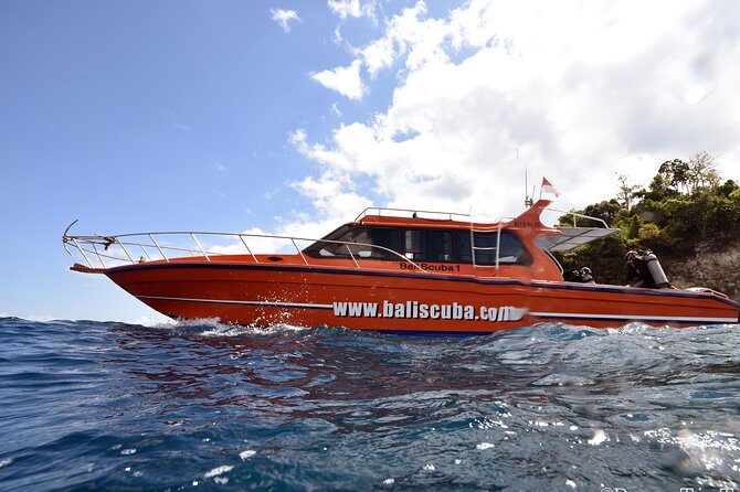 Nusa Penida Day Trip for 3 dives - Introduction: An Underwater Day in Bali’s Nusa Penida