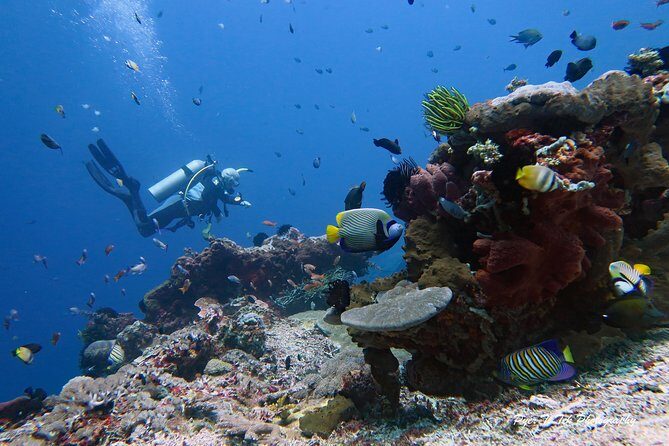 Nusa Penida Day Trip for 3 dives - FAQs