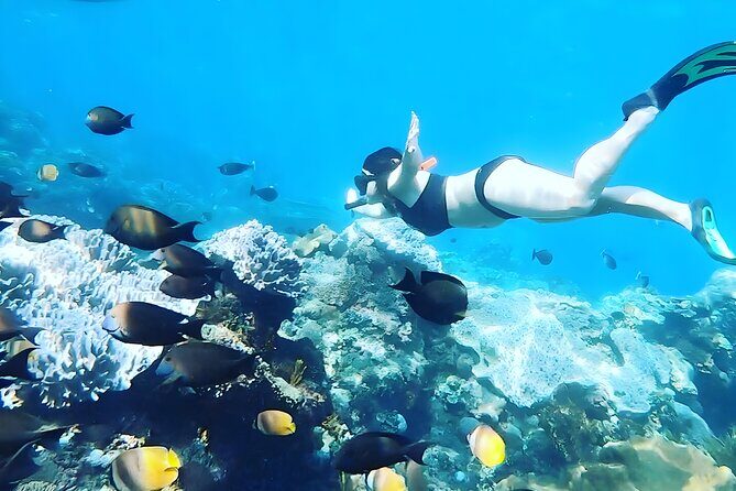 Nusa Penida Island Beach Tour With Snorkeling - Departure From Bali Island - An In-Depth Look at the Nusa Penida Beach & Snorkeling Tour