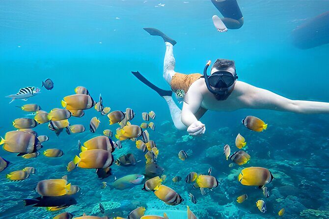 Nusa Penida Island Beach Tour With Snorkeling - Departure From Bali Island - Frequently Asked Questions