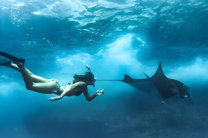 Nusa Penida Island Beach Tours with Snorkeling From Bali - Key Points