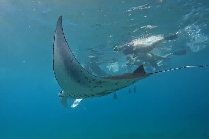 Nusa Penida Land Tour and 4 Points Snorkeling with Manta - Introduction