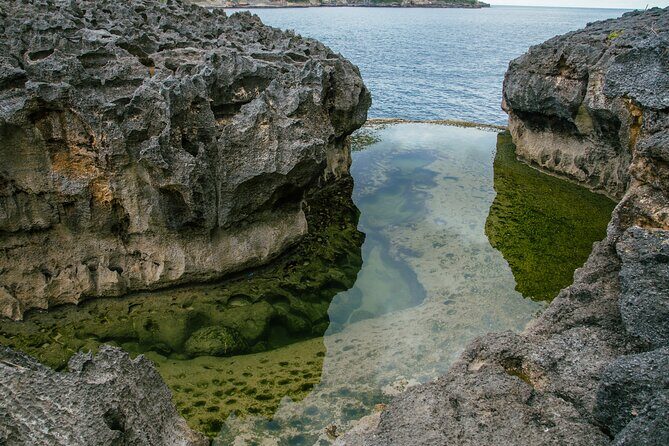 Nusa Penida One Day Trip to Instagrammable Spot by Penidago - A Detailed Review of the Nusa Penida Experience