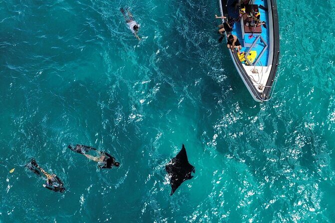 Nusa Penida Private Snorkeling and Land Tour Start from Bali - Key Points