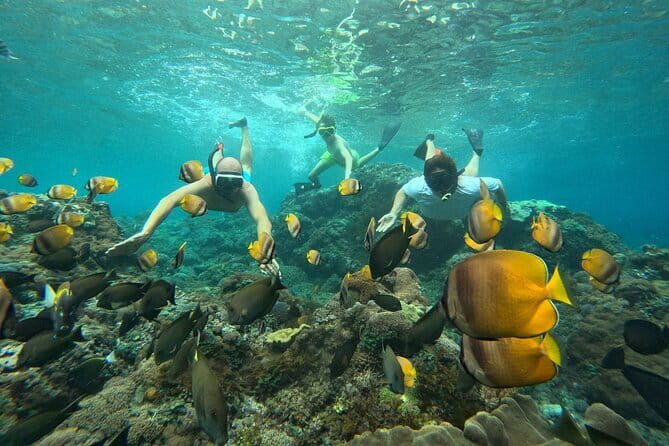 Nusa Penida Snorkeling Trip Manta Point Gamat Bay and Wall Bay - The Real Experience: Authentic Encounters and Practical Details