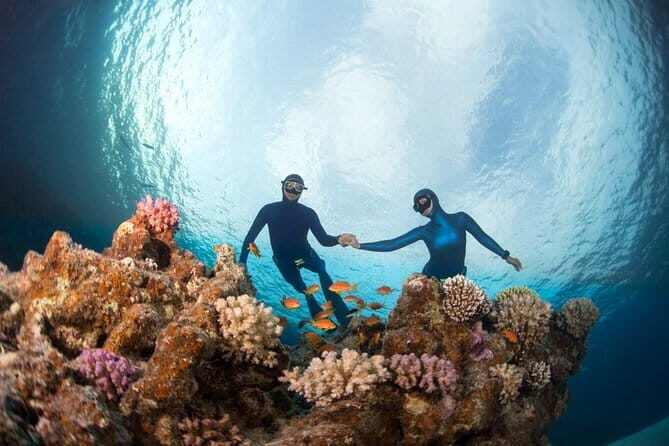 Nusa Penida Snorkeling Trip Manta Point Gamat Bay and Wall Bay - Final Thoughts: Is It Worth It?
