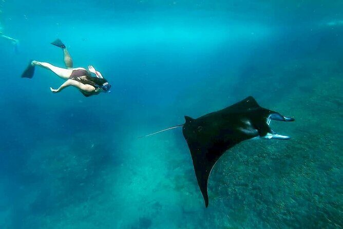 Nusa Penida Snorkeling with Manta Bay & Island Tour - Key Points