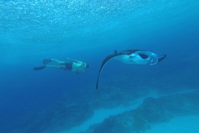 Nusa Penida Snorkling Package - Final Thoughts: The Real Value of This Tour