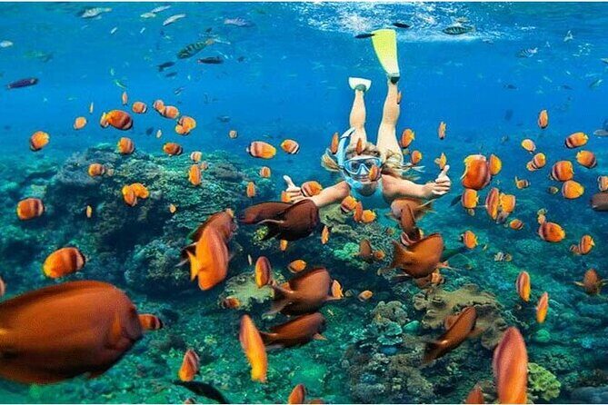 Nusa Penida Trip with Snorkeling all-Inclusive - Key Points