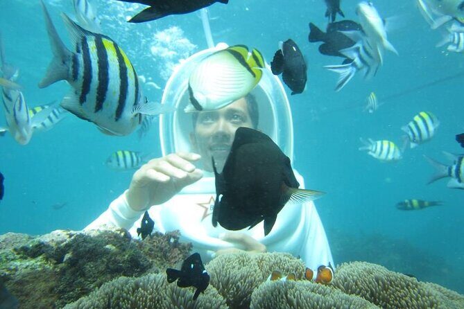 Nusa Penida Trip with Snorkeling all-Inclusive - The Itinerary: What You Can Expect