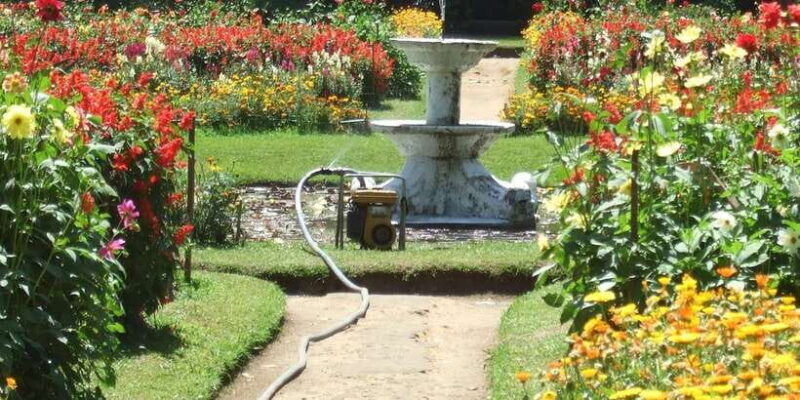 Nuwara Eliya: All-Inclusive Private Sightseeing Day Tour - Introduction: Who Is This Tour For?
