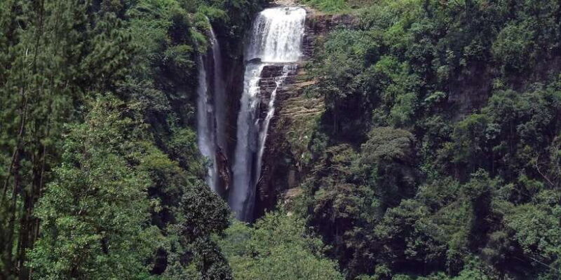 Nuwara Eliya: All-Inclusive Private Sightseeing Day Tour - Authentic Traveler Insights