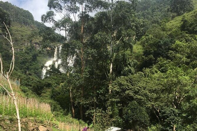 Nuwara Eliya Half Day Private Hiking and Sightseeing Tour - An In-Depth Look at the Tour Itself