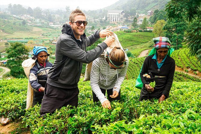 Nuwara Eliya Highlands from Kandy - Key Points