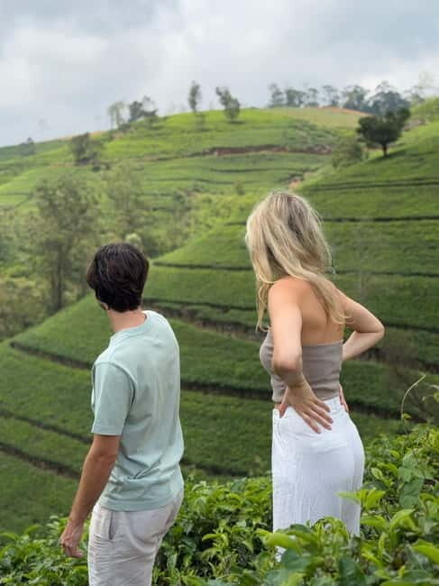 Nuwara Eliya Tea Visit & Ramboda Falls Tours with Taxis - An Honest Look at What You Can Expect