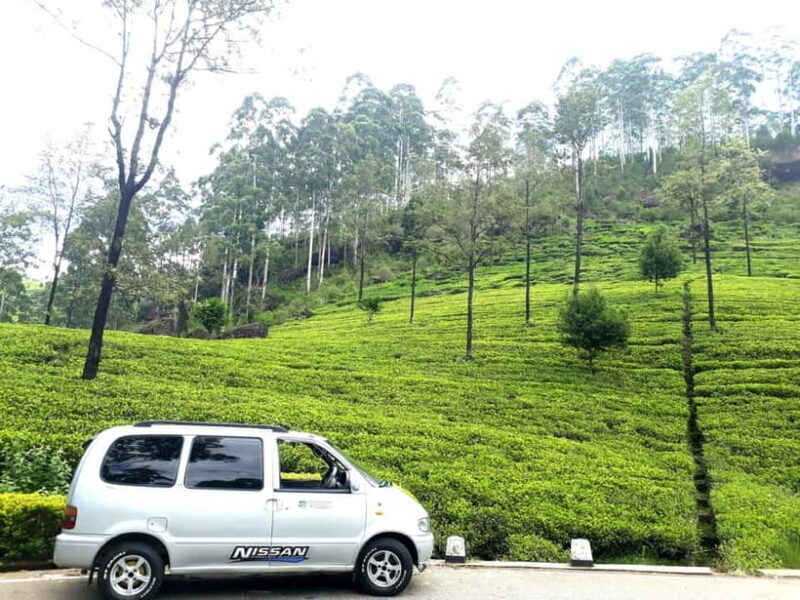 Nuwara Eliya Tea Visit & Ramboda Falls Tours with Taxis - Who Will Love This Tour?