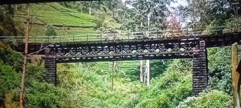 Nuwara Eliya Tuk Tuk Tour Little England - Practical Tips for Your Tour