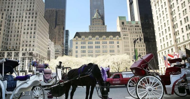 NYC: Central Park Christmas Lights Horse-Drawn Carriage Ride - NYC: Central Park Christmas Lights Horse-Drawn Carriage Ride — A Detailed Review