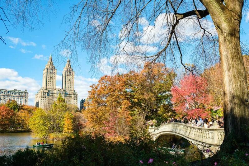NYC: Central Park Elf & Home Alone Film Spots Pedicab Tour - Exploring Central Park From a Pedicab