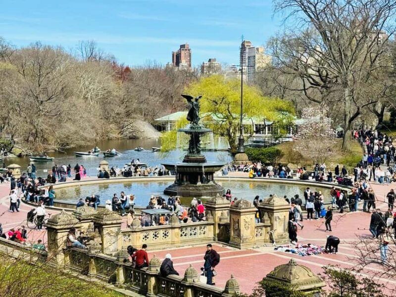 NYC: Central Park Elf & Home Alone Film Spots Pedicab Tour - The Tour Itinerary in Detail