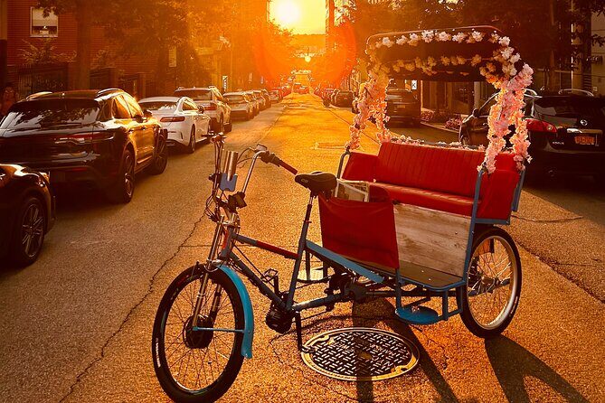 NYC Central Park guided Pedicab Tour - 1 hour - What to Keep in Mind