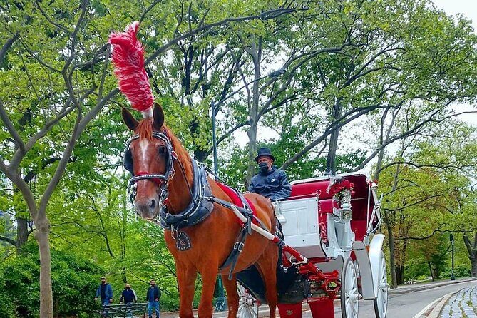 NYC Central Park Horse and Carriage Ride: Long Ride 45 min - What to Expect During Your Central Park Horse and Carriage Ride
