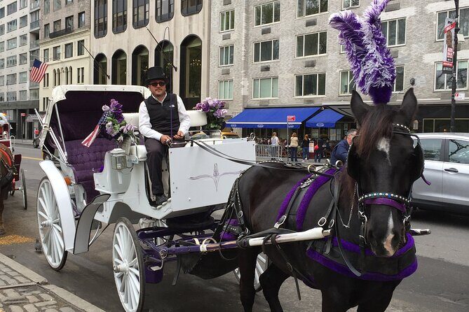 NYC Central Park Horse and Carriage Ride: Long Ride 45 min - The Sum Up