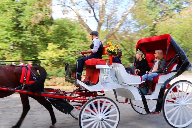 NYC Central Park Horse Carriage Ride (Up to 4 Adults) - The Experience in Detail