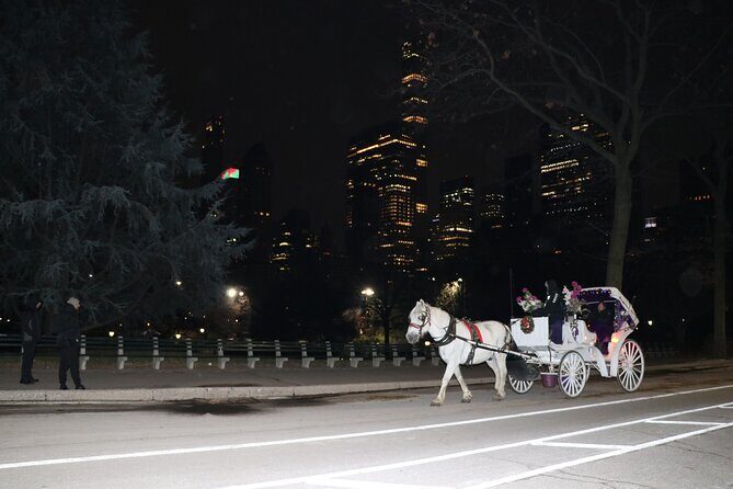 NYC Central Park Horse Carriage Ride (Up to 4 Adults) - FAQs