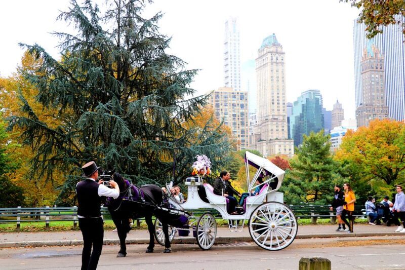 NYC: Central Park Horse-Drawn Carriage Ride (up to 4 Adults) - What This Experience Offers