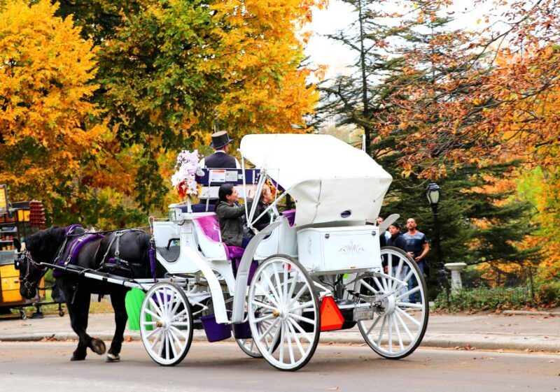 NYC: Central Park Horse-Drawn Carriage Ride (up to 4 Adults) - Who Will Love This Tour?