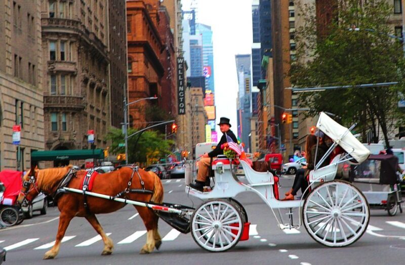 NYC: Central Park Horse-Drawn Carriage Ride (up to 4 Adults) - The Sum Up
