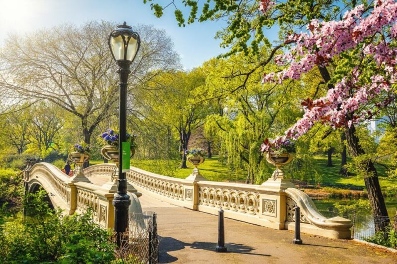 NYC: Central Park Pedicab Highlights Tour - Final Thoughts
